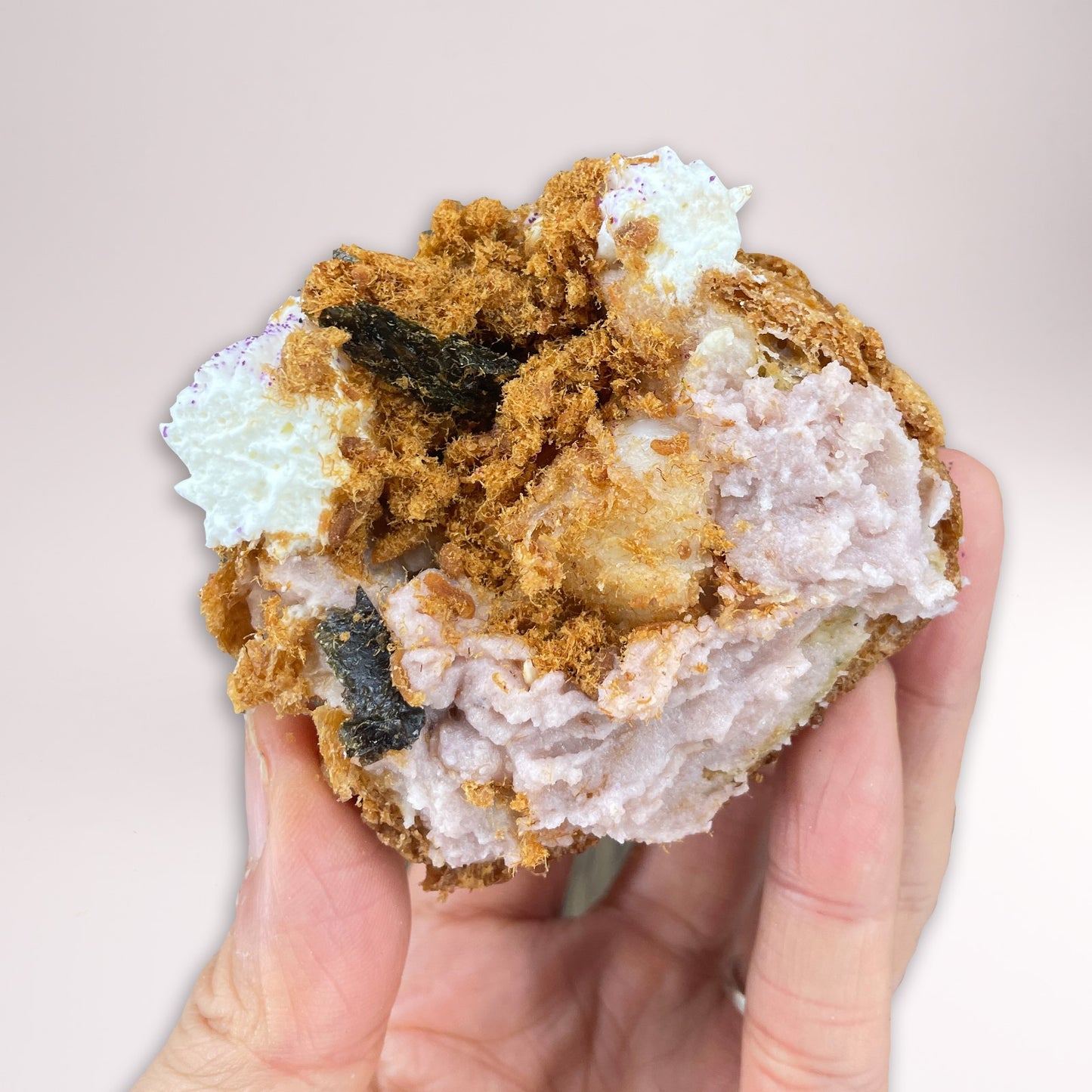 [鹹鹹甜甜之選]台式芋泥鹹蛋肉鬆麻糬手工泡芙 [Sweet & Savoury] Taiwanese Taro Salted Duck Egg Meat Floss Mochi